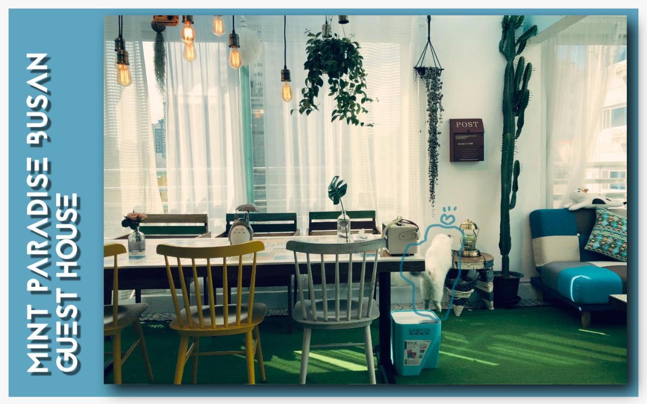 Mint Paradise Pusan Exteriér fotografie
