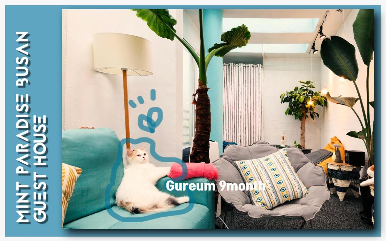 Mint Paradise Pusan Exteriér fotografie